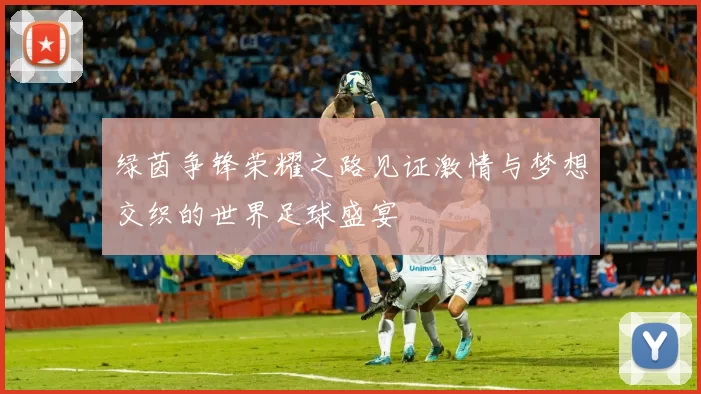 绿茵争锋荣耀之路见证激情与梦想交织的世界足球盛宴