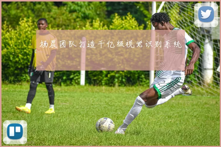 杨晨团队打造千亿级视觉识别系统