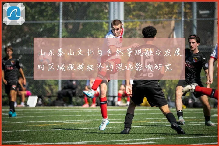 山东泰山文化与自然景观融合发展对区域旅游经济的深远影响研究